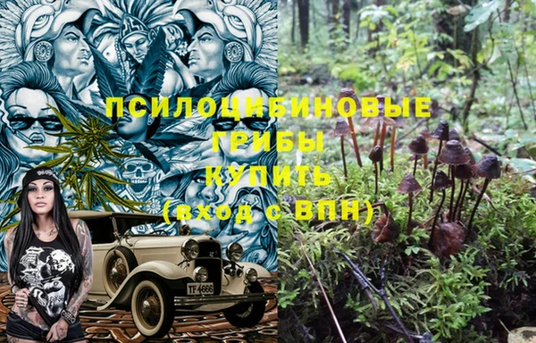 дживик Навашино