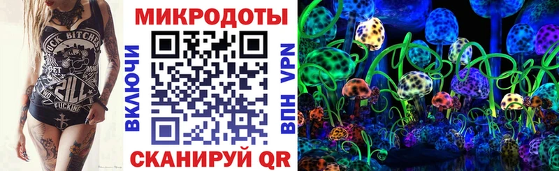Купить  Скопин  Псилоцибиновые грибы Psilocybe 