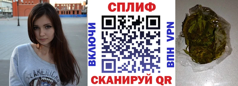 Купить где  Скопин  Конопля план 